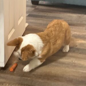 Meet your Posher, Lety